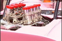 lotus28