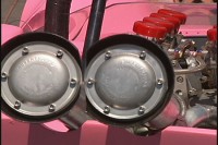 lotus30