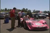 lotus37