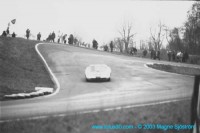 lindstrom_heine-lotus01