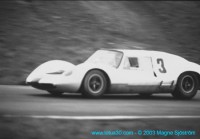 lindstrom_heine-lotus02