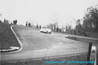 lindstrom_heine-lotus03