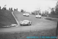 lindstrom_heine-lotus06
