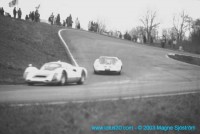lindstrom_heine-lotus07