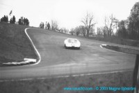 lindstrom_heine-lotus12